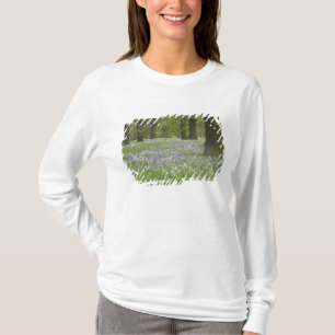 Boshyacinten en eikenbomen in de lente, Little Hag T-shirt