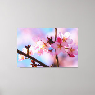 Bosje Kersenbloesems In De Schaduw Van Een Boom Canvas Afdruk