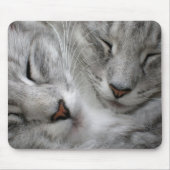 Boskattenmuizenmat Muismat (Voorkant)