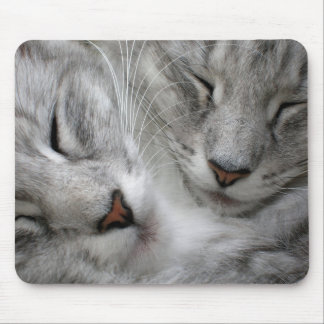 Boskattenmuizenmat Muismat