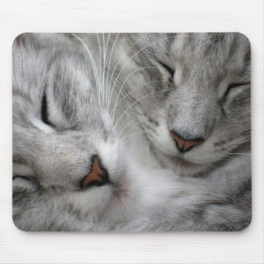 Boskattenmuizenmat Muismat (Voorkant)