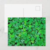 Bosklaver in de lente briefkaart (Voorkant / Achterkant)