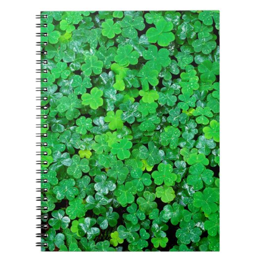 Bosklaver in de lente notitieboek (Voorkant)