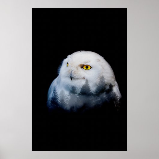 boskoningin poster (Voorkant)