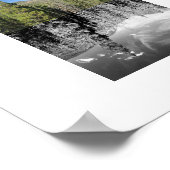 Bosland Reflectie Fotografie Poster (Hoek)