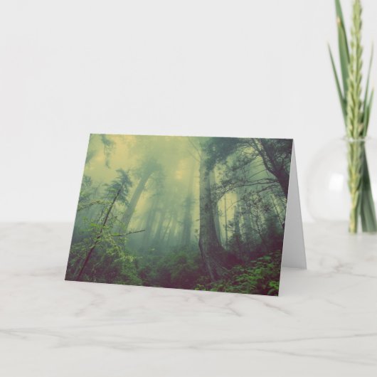 Bosland van onder kaart (Voorkant)