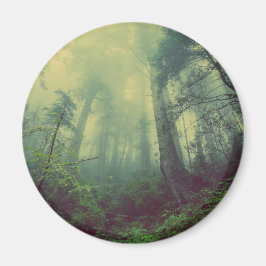 Bosland van onder magneet