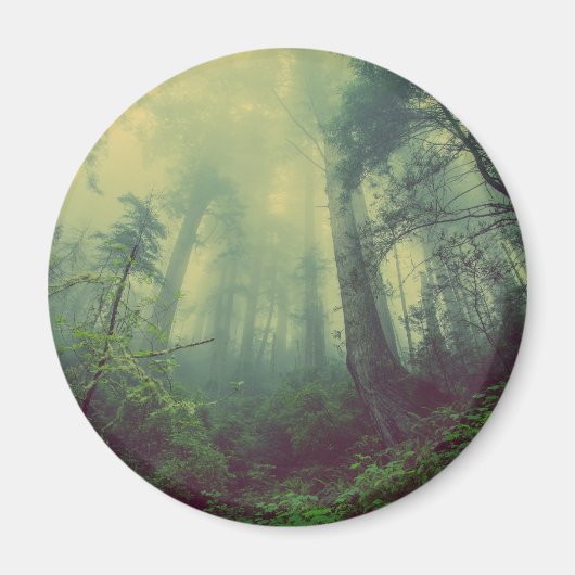 Bosland van onder magneet (Voorkant)