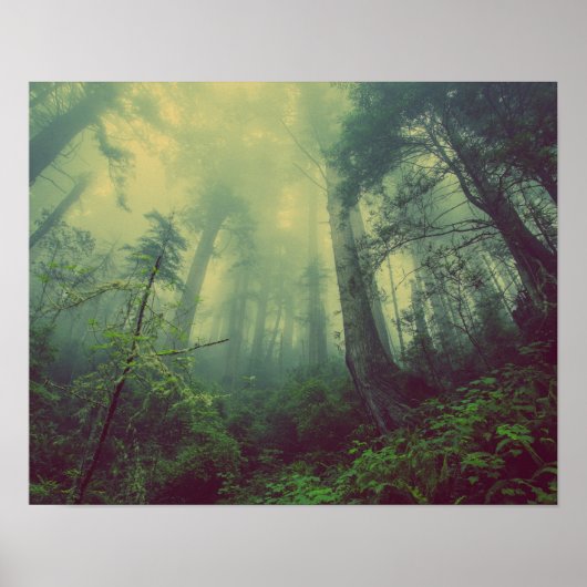 Bosland van onder poster (Voorkant)