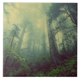 Bosland van onder tegeltje