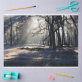 Boslandschap 23-deklaag tissuepapier (Craft)