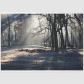 Boslandschap 23-deklaag tissuepapier (Voorkant)