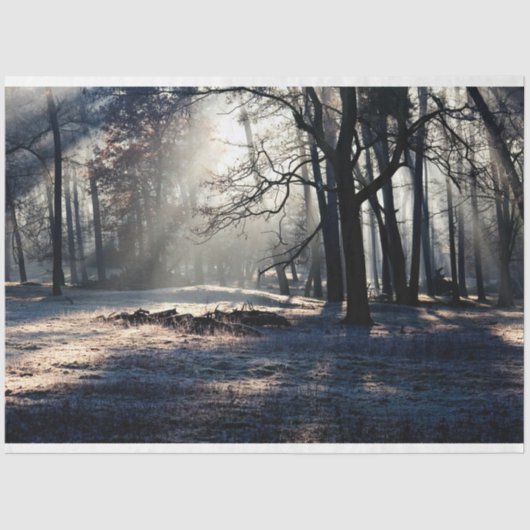 Boslandschap 23-deklaag tissuepapier (Voorkant)