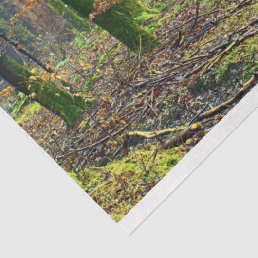 Boslandschap 25-deklaagpapier tissuepapier (Detail)