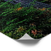 Boslandschap bij zonsondergang met weelderig groen poster (Hoek)