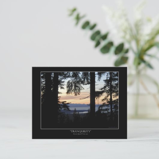 Boslandschap Briefkaarten (Staand voorkant)