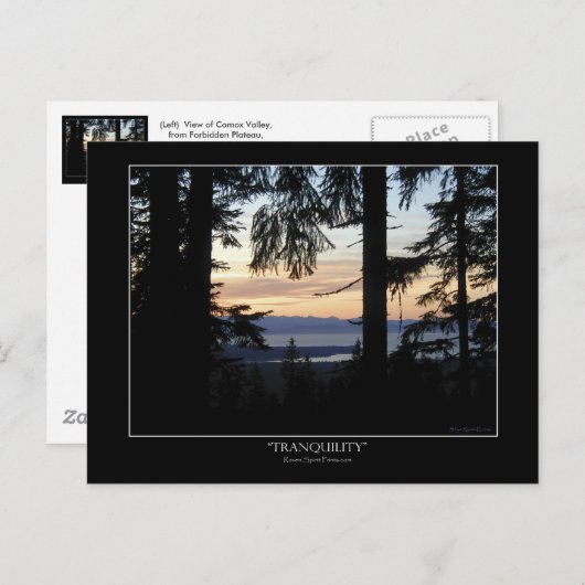 Boslandschap Briefkaarten (Voorkant / Achterkant)