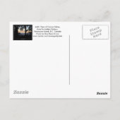 Boslandschap Briefkaarten (Achterkant)