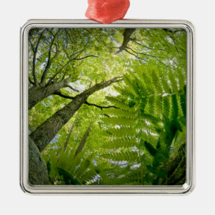 Boslandschap in Acadia National Park, Maine. Metalen Ornament