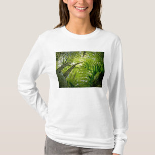 Boslandschap in Acadia National Park, Maine. T-shirt