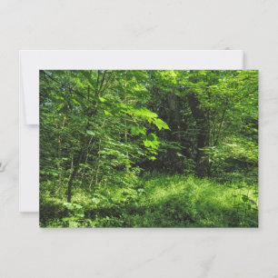 Boslandschap Kaart