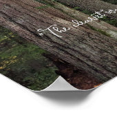 Boslandschap met citaat van John Muir Poster (Hoek)