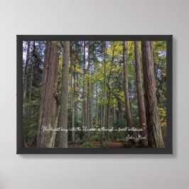 Boslandschap met citaat van John Muir Poster