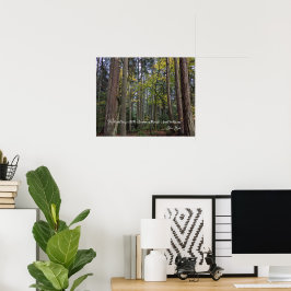 Boslandschap met citaat van John Muir Poster