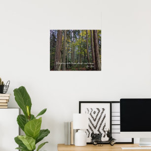 Boslandschap met citaat van John Muir Poster