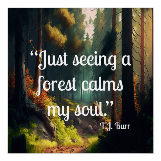 Boslandschap Perfect Poster (Voorkant)