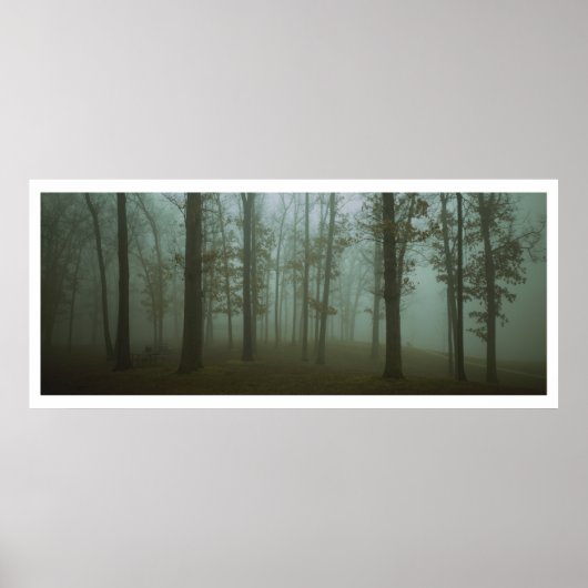 Boslandschap van panoramisch gloomhout poster (Voorkant)