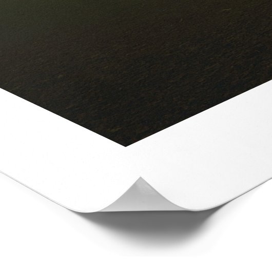 Boslandschap van panoramisch gloomhout poster (Hoek)