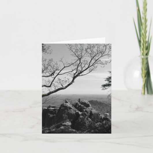 Boslandschapsfoto op standaard Briefkaart (Voorkant)