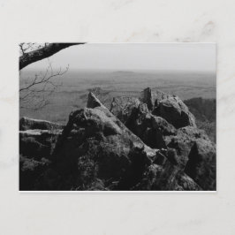 Boslandschapsfoto op standaard Briefkaart