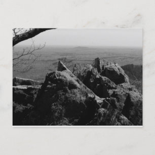 Boslandschapsfoto op standaard Briefkaart