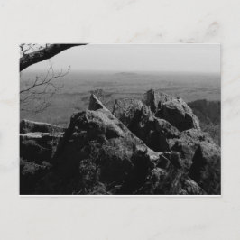 Boslandschapsfoto op standaard Briefkaart