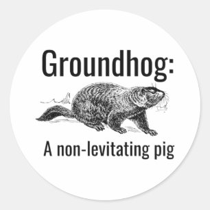 Bosmard Een Niet-Zwevende Varken Grappige Pun Ronde Sticker