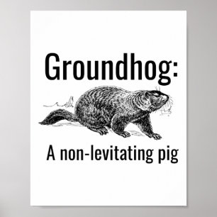 Bosmarmot Een Niet-zwvende Varken Grappige Pun Eng Poster