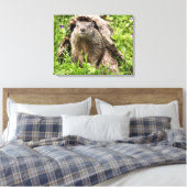 Bosmarmot in een holle boomstam canvas afdruk (Insitu (Slaapkamer))