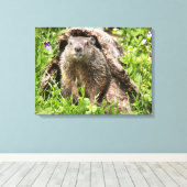 Bosmarmot in een holle boomstam canvas afdruk (Insitu (Houten vloer))