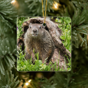 Bosmarmot in een holle boomstam keramisch ornament