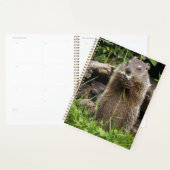 Bosmarmot knabbelend aan een bloem planner (Display)