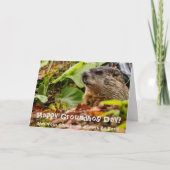 Bosmarmot Lente Kaart (Voorkant)