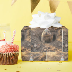 Bosmarmot met een verjaardagshoedje cadeaupapier