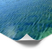 Bosmeer. Gans op water. Perfect Poster (Hoek)