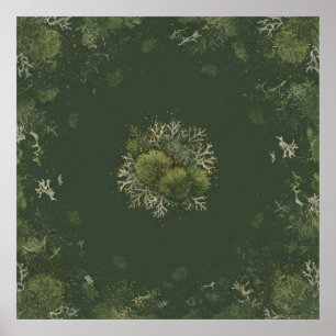 Bosmos en korstmos botanische mandala poster