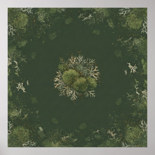 Bosmos en korstmos botanische mandala poster (Voorkant)