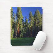 Bosmousepad Muismat (Met muis)