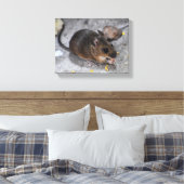 Bosmuis  canvas afdruk (Insitu (Slaapkamer))