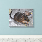 Bosmuis  canvas afdruk (Insitu (Houten vloer))